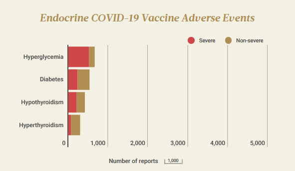 ENDOCRINIEN EFFETS INDESIRABLES