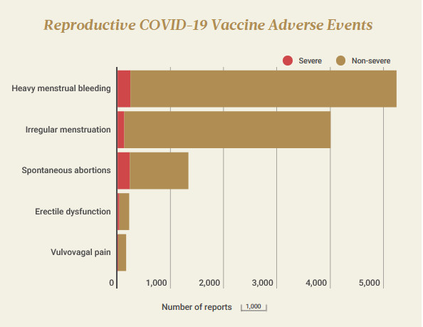 REPRODUCTIVE  EFFETS  INDESIRABLES 