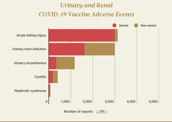URINAIRE ET RENAL EFFETS INDESIRABLES