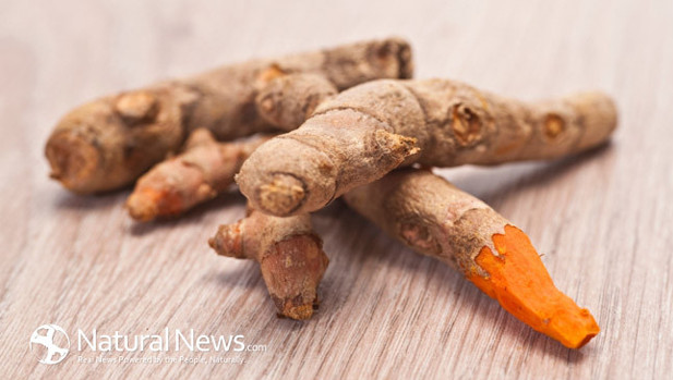 CURCUMA : L'EPICE DOREE QUI FAVORISE LE BIEN-ETRE