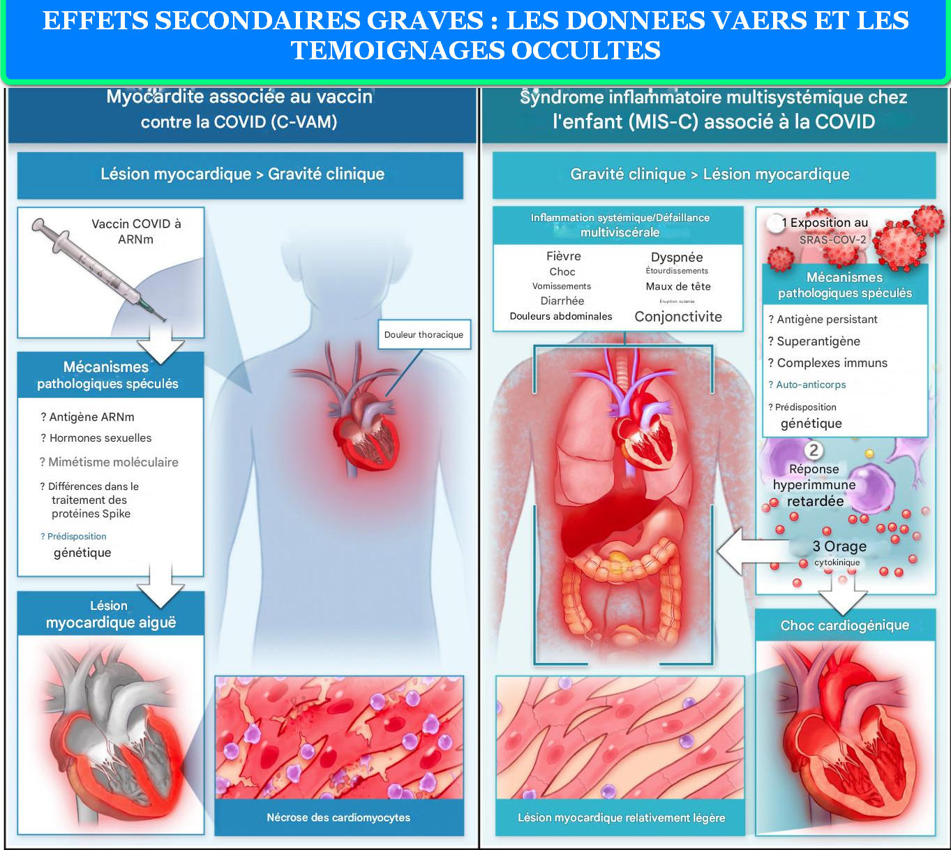 EFFETS SECONDAIRES GRAVES LES DONNEES VAERS ET LES TEMOIGNAGES OCCULTES